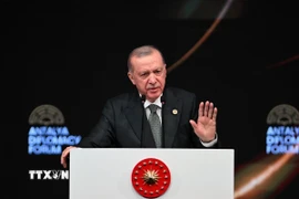 Tổng thống Thổ Nhĩ Kỳ Recep Tayyip Erdogan. (Ảnh: THX/TTXVN)