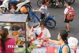 (Ảnh minh họa. Đinh Hằng/TTXVN)