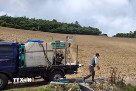 Xe tải cấp nước tưới cho cánh đồng bắp cải tại Gangneung, Hàn Quốc ngày 11/7/2025. (Ảnh: YONHAP/TTXVN)