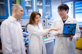 Nhóm các nhà khoa học do Phó Giáo sư Guillaume Thibault (trái) của Đại học Công nghệ Nanyang (NTU) dẫn đầu, bao gồm cả giáo sư thỉnh giảng Kimberly Kline (giữa) của Đại học Geneva và nghiên cứu sinh Aaron Tan của NTU. (Ảnh: NTU)