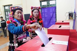 Đồng bào dân tộc Hà Nhì trong trang phục rực rỡ bỏ phiếu tại Tổ bầu cử số 1, xã Sín Thầu. (Ảnh: Trung Kiên/TTXVN)