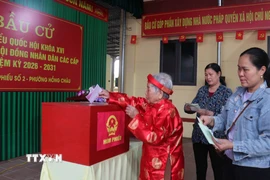 Cụ Lê Thị Nình, 100 tuổi (phường Hồng Châu) trực tiếp bỏ phiếu bầu cử tại khu vực bỏ phiếu số 2 phường Hồng Châu, tỉnh Hưng Yên. (Ảnh: Nguyễn Công Hải/TTXVN)
