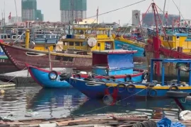 Đà Nẵng chuyển biến từ cơ sở trong nỗ lực gỡ thẻ vàng IUU