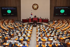 Toàn cảnh một phiên họp Quốc hội Hàn Quốc ở Seoul. (Ảnh: Yonhap/TTXVN)