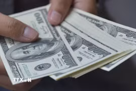Đồng tiền mệnh giá 100 USD. (Ảnh: AFP/ TTXVN)
