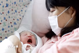 (Ảnh minh họa. Kyodo/TTXVN)