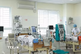 Một khu điều trị tại bệnh viện ở Thành phố Hồ Chí Minh. (Ảnh minh họa. Đinh Hằng/TTXVN)