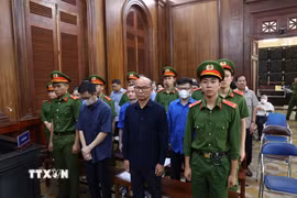 Các bị cáo tại phiên tòa. (Ảnh: Hồng Đạt/TTXVN)