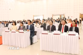 Các đại biểu tham dự tại Diễn đàn. (Ảnh: Đỗ Bá Thành/TTXVN)