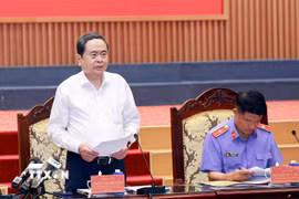 Chủ tịch Quốc hội Trần Thanh Mẫn, Trưởng Đoàn kiểm tra, giám sát số 11 của Bộ Chính trị phát biểu. (Ảnh: Doãn Tấn/TTXVN)