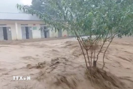 (Ảnh minh họa. TTXVN phát)