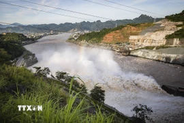 (Ảnh minh họa. Trọng Đạt/TTXVN)