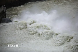 (Ảnh minh họa. Trọng Đạt/TTXVN)