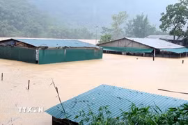 Mưa lũ gây ngập lụt nhiều nhà dân trên địa bàn xã Trung Hạ, tỉnh Thanh Hóa. (Ảnh: TTXVN phát)