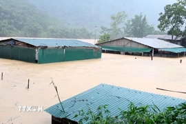 Mưa lũ gây ngập lụt nhiều nhà dân trên địa bàn xã Trung Hạ, tỉnh Thanh Hóa. (Ảnh: TTXVN phát)