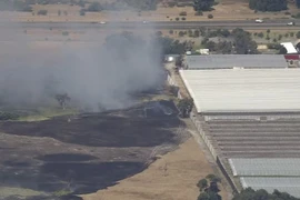 Vụ cháy Bullsbrook đang lan rộng gần một trang trại dâu tây trên đường Davidson. (Ảnh: ABC News )