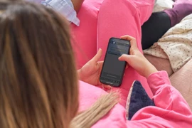 (Ảnh minh họa. Nguồn: csacentre)