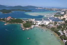 Thủ tướng ký quyết định giải thể các ban chỉ đạo và tổ công tác liên ngành