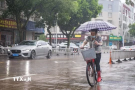 Mưa lớn do ảnh hưởng của bão Co-may tại Ninh Ba, tỉnh Chiết Giang, Trung Quốc. (Ảnh: THX/TTXVN)