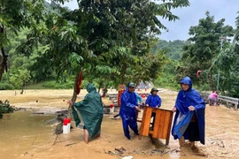 Người dân xã Yên Hòa di dời tài sản do nước lũ lên cao. (Ảnh: TTXVN phát)