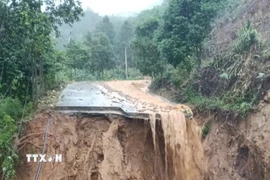 Quảng Ngãi gồng mình ứng phó “lở núi," ngập úng
