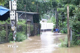 (Ảnh minh họa. Đinh Hương/TTXVN)