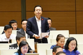 Đại biểu Quốc hội tỉnh Hưng Yên Nguyễn Đại Thắng phát biểu. (Ảnh: Doãn Tấn/TTXVN)