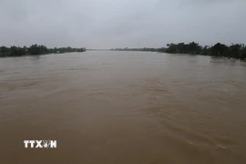 Nước trên sông Bồ, thành phố Huế chiều ngày 29/10. (Ảnh: Đỗ Trưởng/TTXVN)