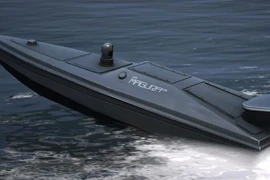 Ukraine bắn rơi chiến đấu cơ Su-30 của Nga bằng xuồng không người lái