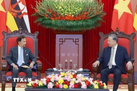 Tổng Bí thư Tô Lâm tiếp Quốc vương Brunei Haji Hassanal Bolkiah. (Ảnh: Thống Nhất/TTXVN)