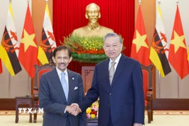 Tổng Bí thư Tô Lâm tiếp Quốc vương Brunei Haji Hassanal Bolkiah. (Ảnh: Thống Nhất/TTXVN)