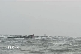 (Ảnh minh họa. TTXVN phát)