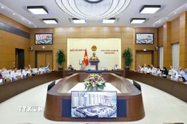 Ủy ban Thường vụ Quốc hội biểu quyết. (Ảnh: Doãn Tấn/TTXVN)