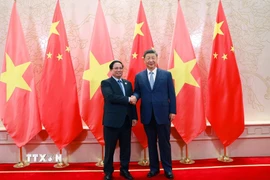 Thủ tướng Phạm Minh Chính hội kiến Tổng Bí thư, Chủ tịch nước Trung Quốc Tập Cận Bình. (Ảnh: Dương Giang/TTXVN)