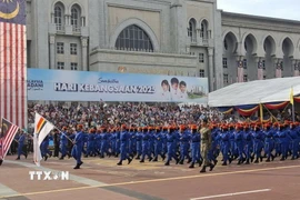 Diễu binh qua lễ đài. (Ảnh: Bùi Hoàn/TTXVN)