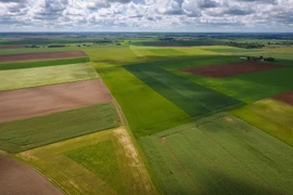 (Ảnh minh họa. Nguồn: AFP/Getty Images)