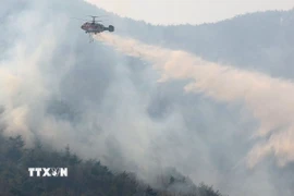 Trực thăng cứu hỏa phun nước dập cháy rừng tại tỉnh Nam Gyeongsang, Hàn Quốc. (Ảnh: Yonhap/TTXVN)