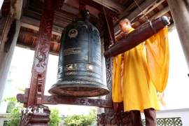 (Ảnh: Hồng Đạt/TTXVN)