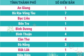 Nhiều địa phương bắn pháo hoa mừng Tết Nguyên đán Ất Tỵ 2025