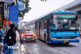 Ảnh minh họa. (Nguồn: TTXVN)