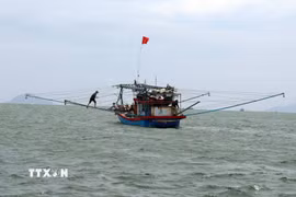 Tàu đánh cá trên biển. (Ảnh: Đỗ Trưởng/TTXVN)
