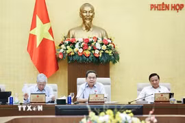 Chủ tịch Quốc hội Trần Thanh Mẫn phát biểu. (Ảnh: Doãn Tấn/TTXVN)