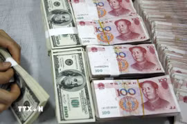 Nhân viên kiểm đồng USD và nhân dân tệ. (Ảnh: AFP/TTXVN)