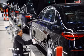 Công nhân làm việc trên dây chuyền sản xuất xe ôtô ở Đức. (Ảnh: Reuters/TTXVN)