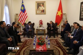 Phó Thủ tướng Chính phủ Trần Hồng Hà tiếp ông Richard Khor, Chủ tịch Phòng Thương mại Malaysia-Việt Nam (MVCC). (Ảnh: Bùi Hoàn/TTXVN)