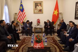 Phó Thủ tướng Chính phủ Trần Hồng Hà tiếp ông Richard Khor, Chủ tịch Phòng Thương mại Malaysia-Việt Nam (MVCC). (Ảnh: Bùi Hoàn/TTXVN)