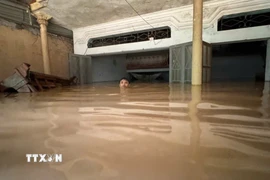 Ông Lê Bình (thôn Cửa Hà, xã Cẩm Thủy, Thanh Hóa) phải bơi trong ngôi nhà bị ngập sâu gần 2m để cố vớt vát các tài sản còn lại. (Ảnh: Việt Hoàng/TTXVN)