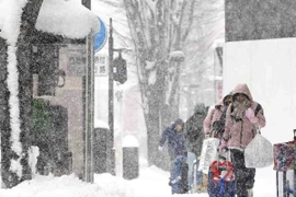 Tuyết rơi kỷ lục tại Nhật Bản. (Ảnh: japannews)