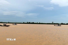 Tàu thuyền tại tỉnh Thanh Hóa đang về nơi trú bão. (Ảnh: Nguyễn Nam/TTXVN)