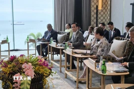 Bộ trưởng Ngoại giao Lê Hoài Trung (thứ 2, trái sang) tham dự phiên họp. (Ảnh: Việt Dũng/TTXVN)